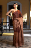 Copper Tissue Chanderi Saree with Contrasting Stripes