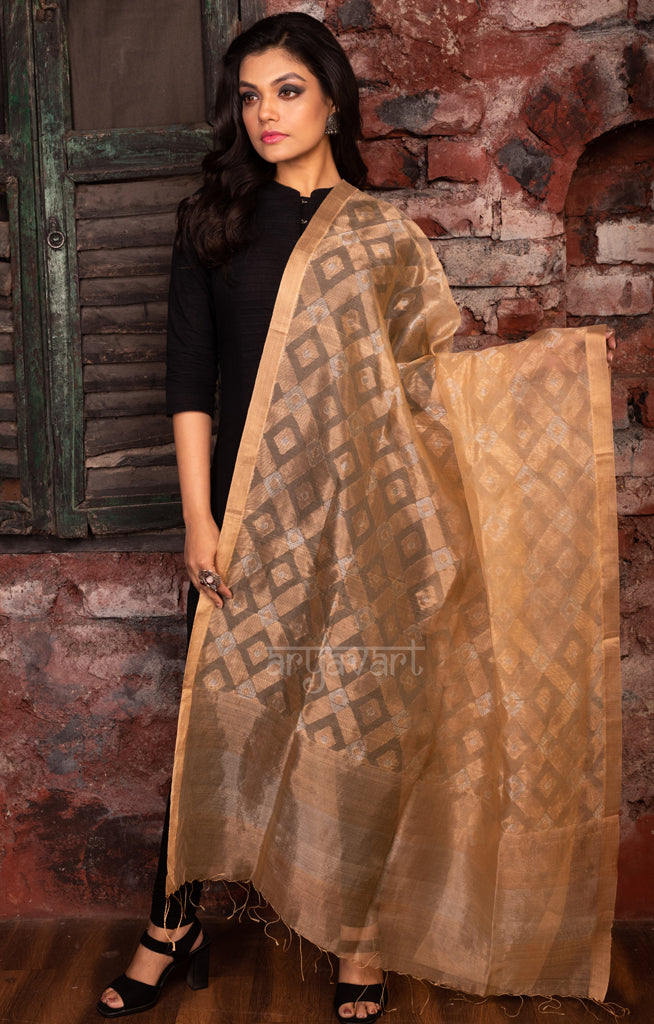 Stunning Gold Dupatta With Jamdani Work in Gold & Silver