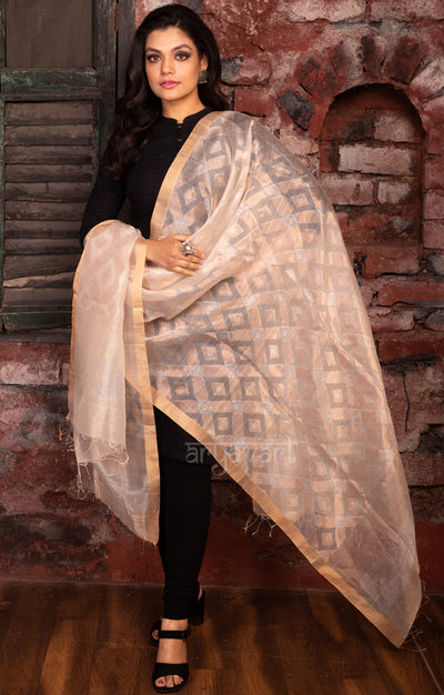 Stunning White Dupatta With Jamdani Work in Gold & Silver