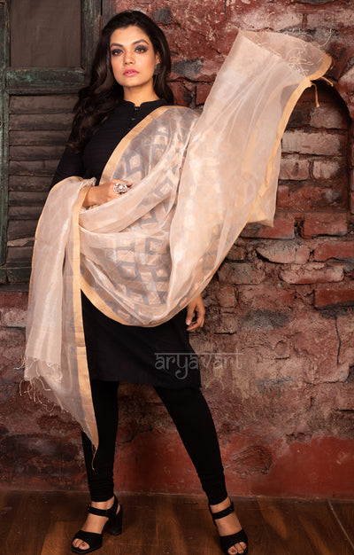 Stunning White Dupatta With Jamdani Work in Gold & Silver