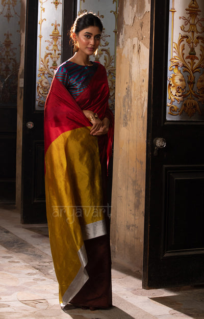 Walnut Brown & Red Silk Chanderi Saree with a Stunning Sunset Gold Pallu