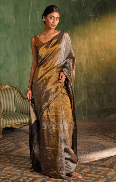 Play of Gold & Silver In A Tissue Linen Saree