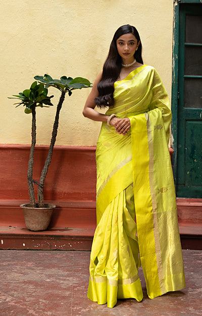 Volt Green Silk  Chanderi  Saree With Silver Fish Buttas Along The Length of the Saree