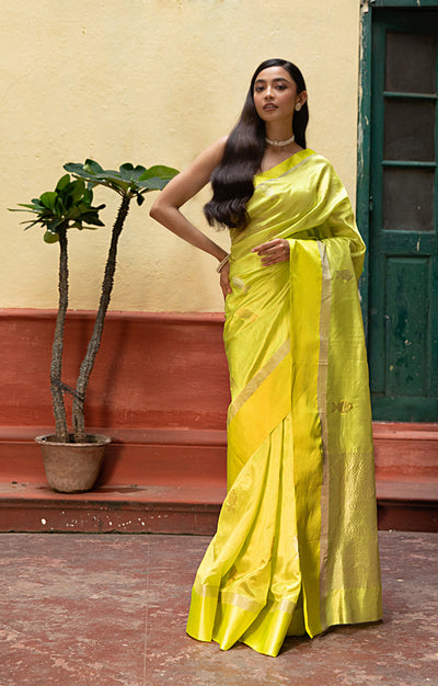 Volt Green Silk  Chanderi  Saree With Silver Fish Buttas Along The Length of the Saree