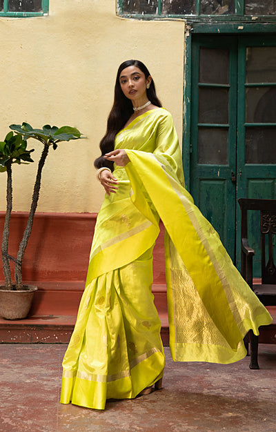 Volt Green Silk  Chanderi  Saree With Silver Fish Buttas Along The Length of the Saree