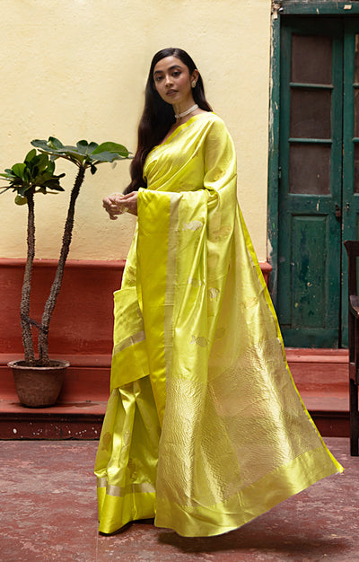 Volt Green Silk  Chanderi  Saree With Silver Fish Buttas Along The Length of the Saree