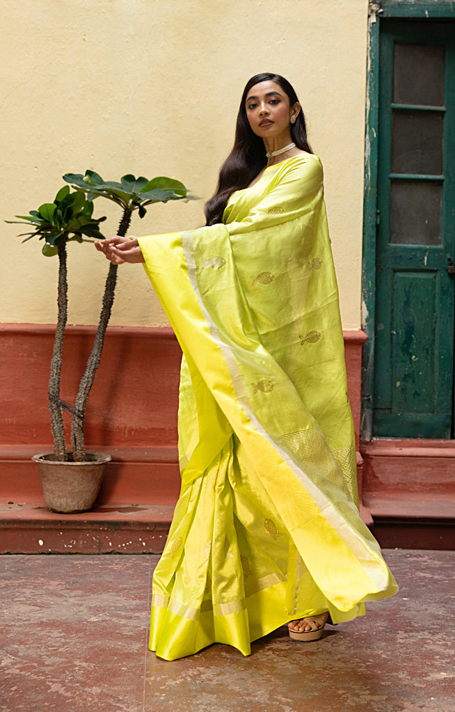 Volt Green Silk  Chanderi  Saree With Silver Fish Buttas Along The Length of the Saree
