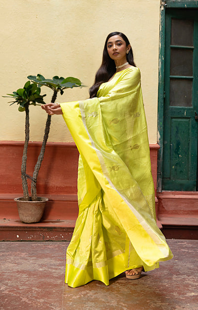 Volt Green Silk  Chanderi  Saree With Silver Fish Buttas Along The Length of the Saree