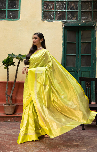 Volt Green Silk  Chanderi  Saree With Silver Fish Buttas Along The Length of the Saree