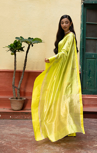 Volt Green Silk  Chanderi  Saree With Silver Fish Buttas Along The Length of the Saree