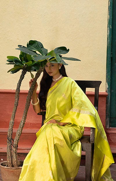 Volt Green Silk  Chanderi  Saree With Silver Fish Buttas Along The Length of the Saree
