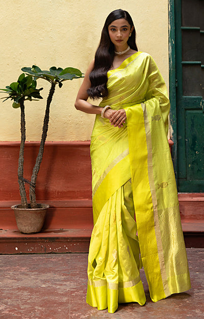 Volt Green Silk  Chanderi  Saree With Silver Fish Buttas Along The Length of the Saree