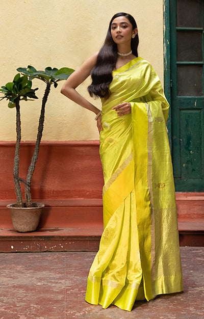 Volt Green Silk  Chanderi  Saree With Silver Fish Buttas Along The Length of the Saree