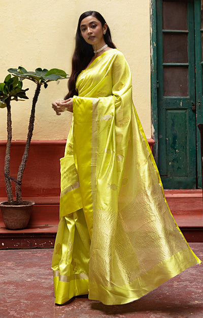 Volt Green Silk  Chanderi  Saree With Silver Fish Buttas Along The Length of the Saree