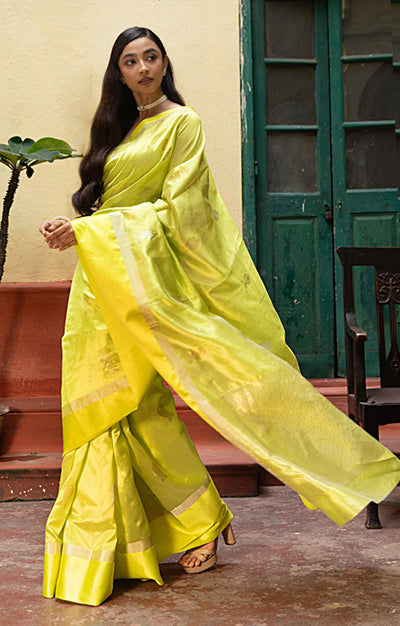 Volt Green Silk  Chanderi  Saree With Silver Fish Buttas Along The Length of the Saree