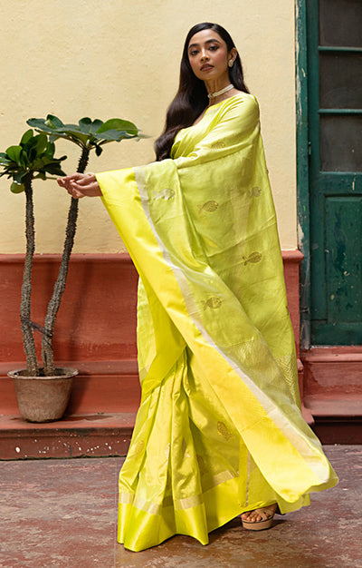 Volt Green Silk  Chanderi  Saree With Silver Fish Buttas Along The Length of the Saree