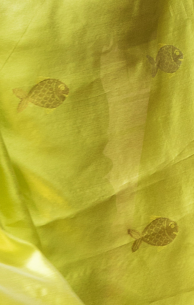 Volt Green Silk  Chanderi  Saree With Silver Fish Buttas Along The Length of the Saree