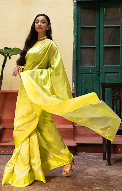 Volt Green Silk  Chanderi  Saree With Silver Fish Buttas Along The Length of the Saree