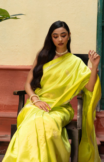 Volt Green Silk  Chanderi  Saree With Silver Fish Buttas Along The Length of the Saree