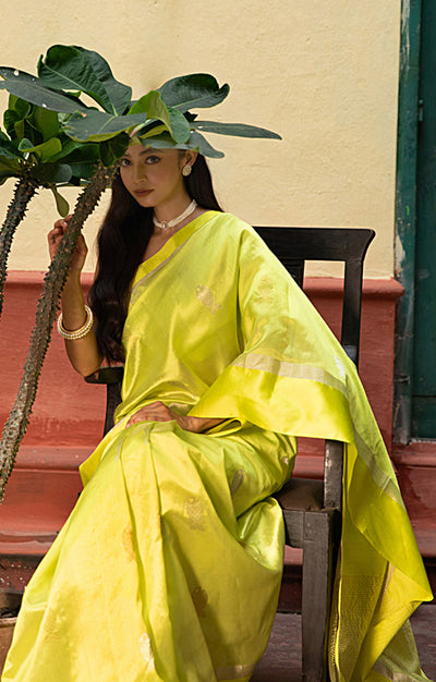 Volt Green Silk  Chanderi  Saree With Silver Fish Buttas Along The Length of the Saree