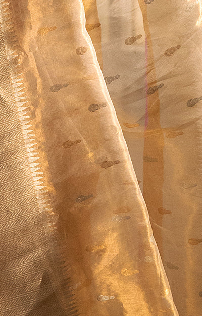 Gold Chanderi Silk Saree with Gold & Silver Zari Leaf Motif
